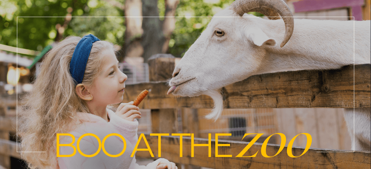 Girl Feeding a goat for Boo at the Zoo